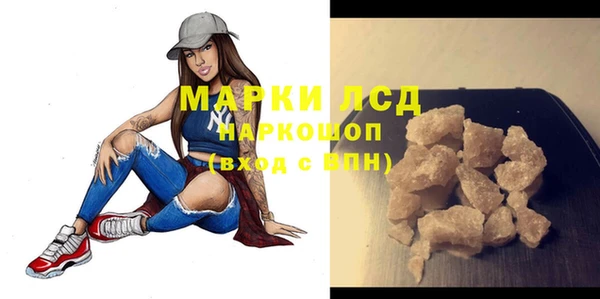 крисы Щигры