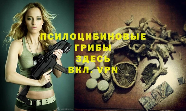 стаф Лагань